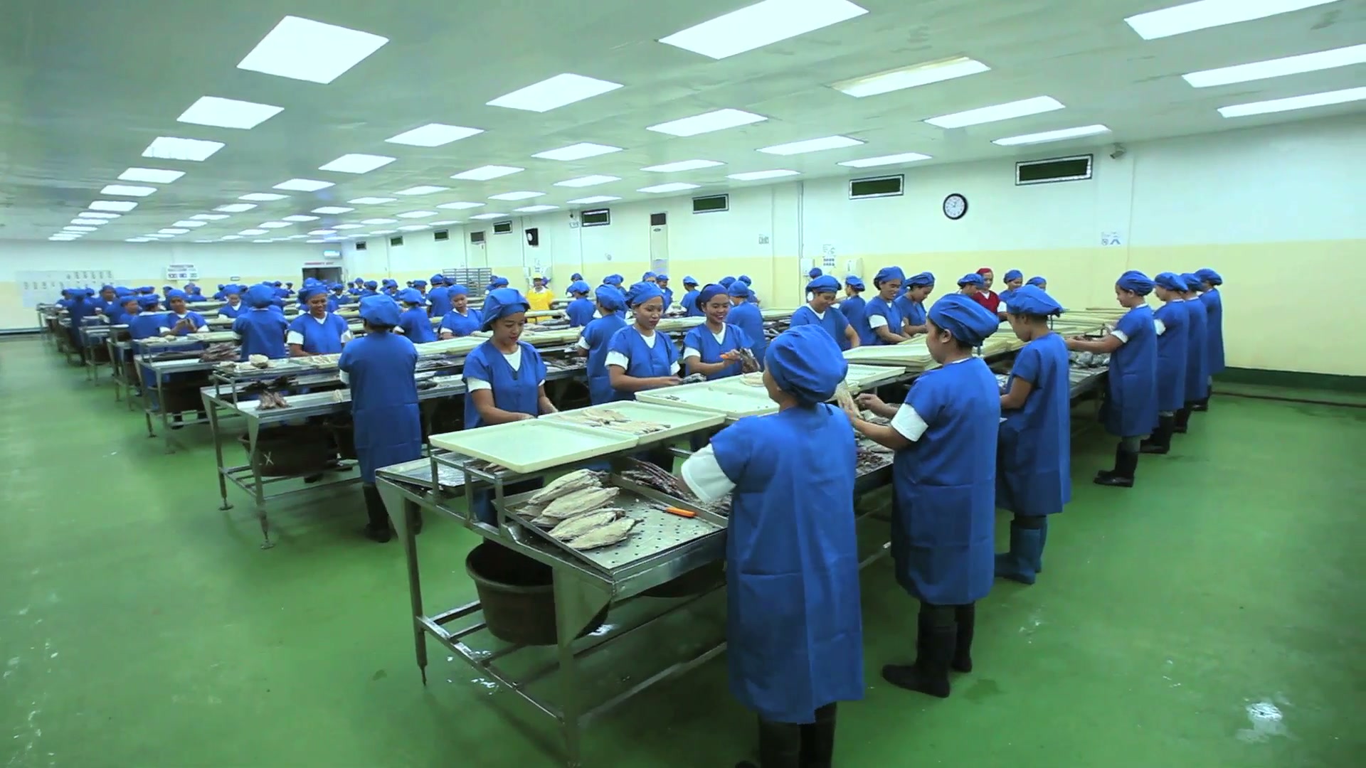 Still from Permex AVP 2015 Permex staff preparing tuna in the air-conditioned cleaning area, from the 2015 company film